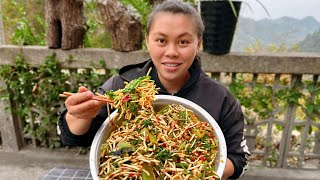 Eat Houttuynia cordata today今天涼拌一盆魚腥草，加上辣椒和香菜，爆辣下飯你們吃過嗎 [upl. by Rozalie]