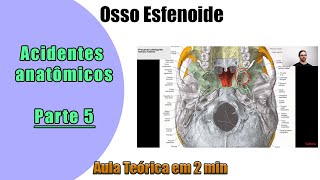 Osso Esfenoide  Aula TeÃ³rica 5  Anatomia  Anatomia Humana [upl. by Eenttirb]