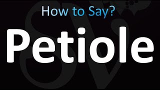 How to Pronounce Petiole Correctly [upl. by Etnom]