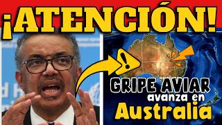 ¡ALERTA GRIPE AVIAR AVANZA EN AUSTRALIA [upl. by Awjan60]