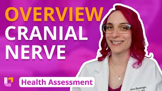 Cranial Nerve Overview  Health Assessment for Nursing Students  LevelUpRN [upl. by Blinni]