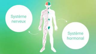 1TUTOFORMATION GESTION DU STRESS Comprendre les mécanismes du stress  Institut François Bocquet [upl. by Cestar]