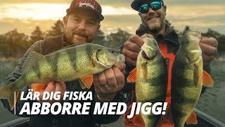 Lär dig fiska abborre med jigg  Sportfiskeprylarse [upl. by Daberath556]