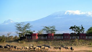 Amboseli Serena Safari Lodge [upl. by Leone774]