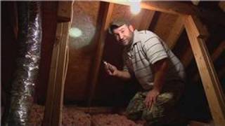 Pest Control  How to Remove Bees From the Attic [upl. by Irik]