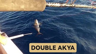 DOUBLE AMBERJACKAKYA AVIYAKALA PİŞİRGAZİPAŞA 4K [upl. by Cockburn]