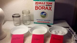 Borax and DIY Ant Trap with educational health and safety facts using all natural Borax [upl. by Leela]