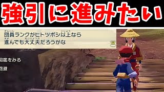 【検証】アルセウスのとおせんぼう銀河団員！無理やり川を渡れるのでは？【ゆっくり実況】【ポケモン】 [upl. by Lemuela703]