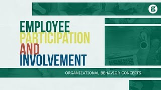 Employee Participation and Involvement [upl. by Donell386]