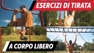 I migliori esercizi di tirata nel CALISTHENICS [upl. by Ellenrad]