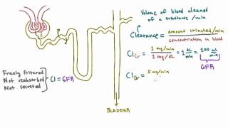 Calculating Clearance  Example Calculations [upl. by Ainadi]