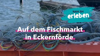 Auf dem Fischmarkt in Eckernförde [upl. by Acyssej]