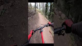 Keeping speed up on flow trail is not as easy as it seemsmtb downhill gopro shorts [upl. by Hickey]