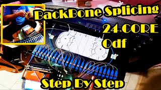 FIBER OPTIC CABLE  ODF Splicing 24 Core  Step By Step Splicing [upl. by Yatnuahs]