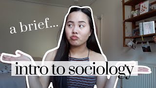 A Brief Introduction to Sociology  What IS Sociology [upl. by Tabib53]