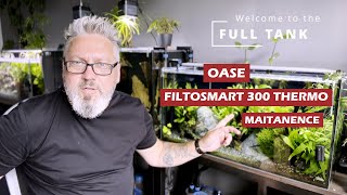 OASE FiltoSmart 300 thermo maintanence [upl. by Hoang]