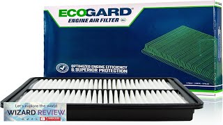 ECOGARD XA6124 Premium Engine Air Filter Fits Hyundai Sonata 24L 20112014 Santa Review [upl. by Enimasaj441]