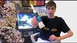 Where and How To Place Corals in a Reef Tank  Using Coral Glue [upl. by Erlinna96]