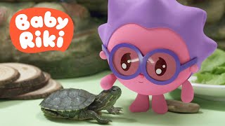 BabyRiki RO  Țestoasa lui Ariciu 🐢 Învățăm animalele de companie  Desene animate [upl. by Thornton]