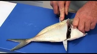 How to Fillet and Cook Trevally  The Hook and The Cook [upl. by Enamart]