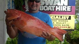 Catch gallery Coral Trout 4kg caught at Mooloolaba Blinker offshore 26102011 [upl. by Leona]