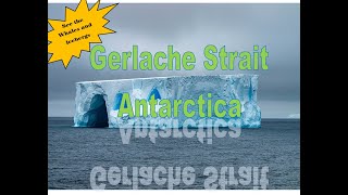 Unbelievable Adventure Exploring The Stunning Gerlache Straits In Antarctica  Ultimate World Cruise [upl. by Morita]