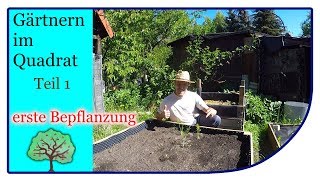 Gärtnern im Quadrat Teil 1 Die ersten Kulturen ziehen ein  Square Foot Gardening [upl. by Ok]