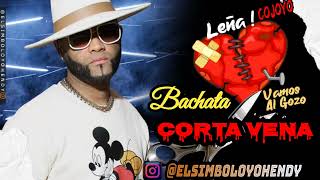 BACHATA CORTA VENAS💔MIX✂️VAMOSALGOOOZO ELSIMBOLO OFICIAL LEÑAAAAA🔥🔥 LASIMBOLOMANIA SE PEGA [upl. by Leeth620]