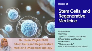 Stem Cells and Regenerative Medicine [upl. by Airetak]