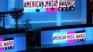 VLOG Репортаж с American Music Awards 2013 AMAs  Котята Майли Сайрус [upl. by Litnahs]