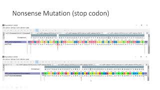 GFP mutant analysis [upl. by Mignon]