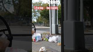 Littering Bad Habits  Environmental Pollution ytshorts [upl. by Alrich171]