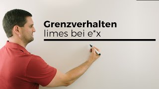 Grenzverhalten limes bei ex Exponentialfunktion eFunktion 1Teil  Mathe by Daniel Jung [upl. by Lambart]