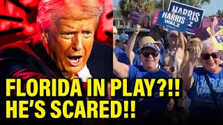 Trump Plans EMERGENCY STOP in FLORIDA as Panic GROWS [upl. by Mcdowell]