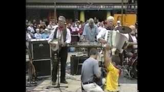 The Wurzels  Live in Broadmead  Bristol  30701  The Combine Harvester remix release gig [upl. by Hedberg]