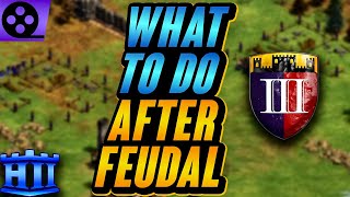 What To Do After Feudal Age  AoE2 [upl. by Aerdnac]