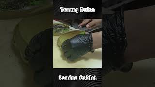 Terang Bulan Pandan Coklat [upl. by Haslett689]