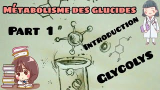 Métabolisme des glucides  introduction les étapes de glycolyse part 1 [upl. by Yolanda]