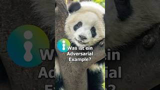 Was ist ein Adversarial Example KI Wissen [upl. by Eico610]