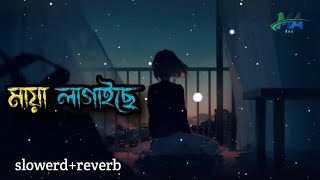 বন্দে মায়া লাগাইছে পিরিতি শিখাইছে  Bonde Maya lagaise  MAYA  slowedreverb  lofi Mix Video [upl. by Gehman770]