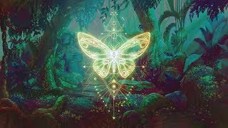 🦋THE BUTTERFLY EFFECT ⁂ Elevate your Vibration ⁂ Positive Aura Cleanse ⁂ 432Hz Music [upl. by Matthus863]