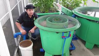 Cleaning the DuRaflow Aquaponics Filter MADE Easy [upl. by Wallraff]