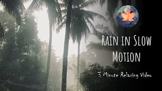 Rain in Slow Motion  Relaxing with Nature  3 Minute Relaxing Video [upl. by Ahmed]