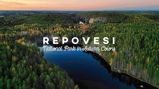 Repovesi National Park  Finland Aerials Drone 4K [upl. by Heiner]