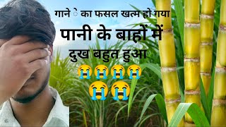 😭गाने े का फसल खराब हो गया है ShivrajBlogw7s vlog video😘🎥 gany kacomedy trending 🔥🔥 manoj Dey [upl. by Anpas]