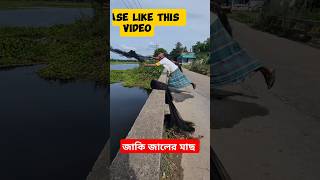 যাকে জাল দিয়ে মাছ ধরামাছfish fishing [upl. by Cirdet]