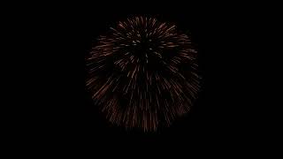 Fireworks Background Loop  Firework Sound  Celebration  Animation Video  2024 [upl. by Maguire]