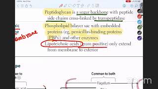 Microbiology 1st Class  Structure of Bacteria in URDUHINDI [upl. by Huai105]