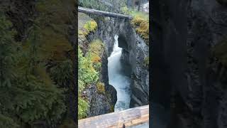 Scenic views of Maligne Canyon the deepest canyon in Jasper National Park [upl. by Ashlen]