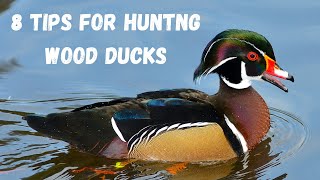 8 Tips For Wood Duck Hunting [upl. by Charmine]